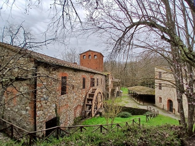 Agriturismo in vendita a Siena — foto 4