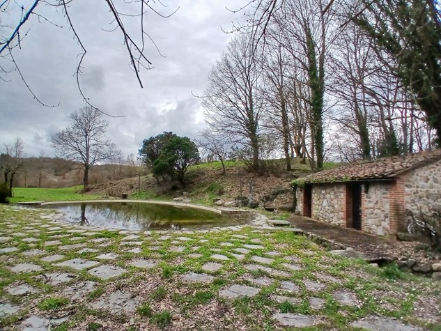 Agriturismo in vendita a Siena — foto 5