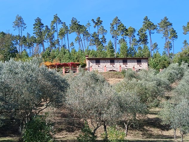 Casale in vendita a Buti — foto 1