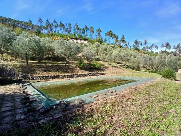 Casale in vendita a Buti — foto 2