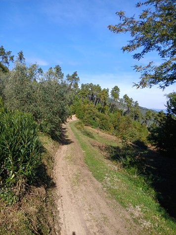 Casale in vendita a Buti — foto 3