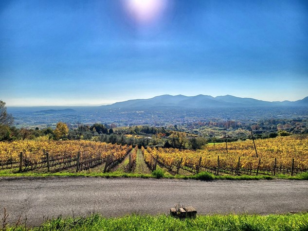 Rustico in vendita a Capannori — foto 2