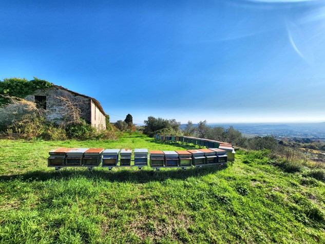 Rustico in vendita a Capannori — foto 4