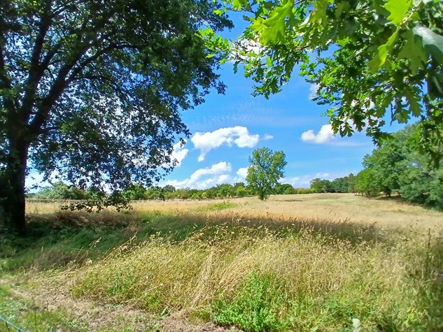 Rustico in vendita a Castelfranco Di Sotto — foto 1